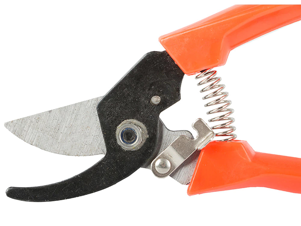 Manual garden pruning shears for shrub branches