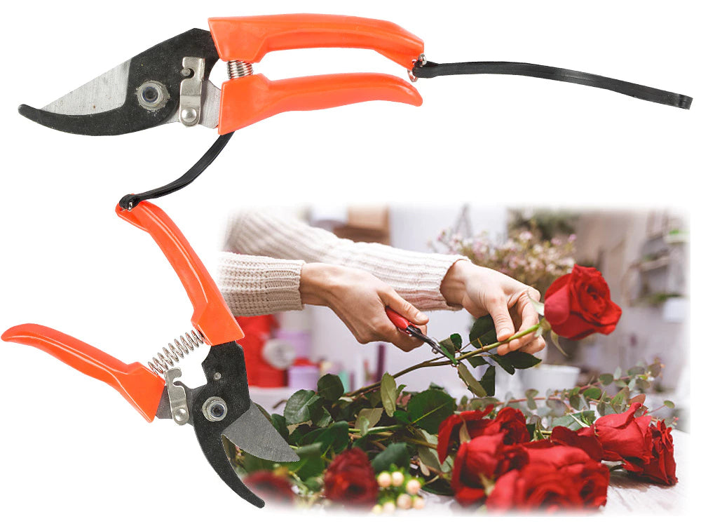 Manual garden pruning shears for shrub branches