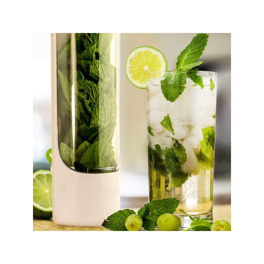 Herb container for herbs, fresh vegetables Shop kitchen home