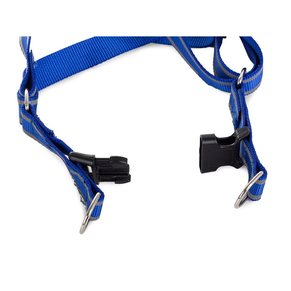 Harness for a cat dog + reflective leash, col 1.5