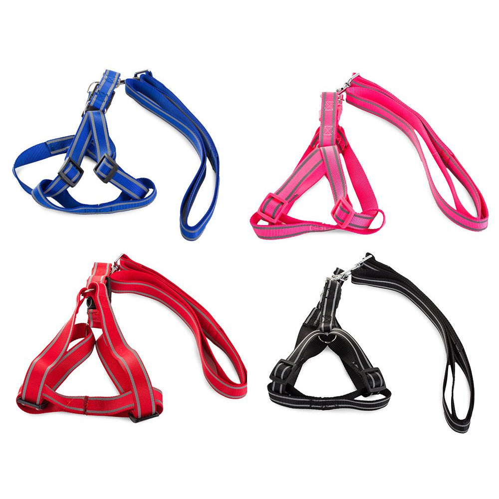 Harness for a cat dog + reflective leash, col 1.5