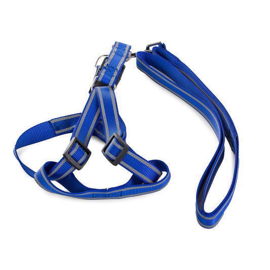 Harness for a cat dog + reflective leash, col 1.5 Shop kitchen home