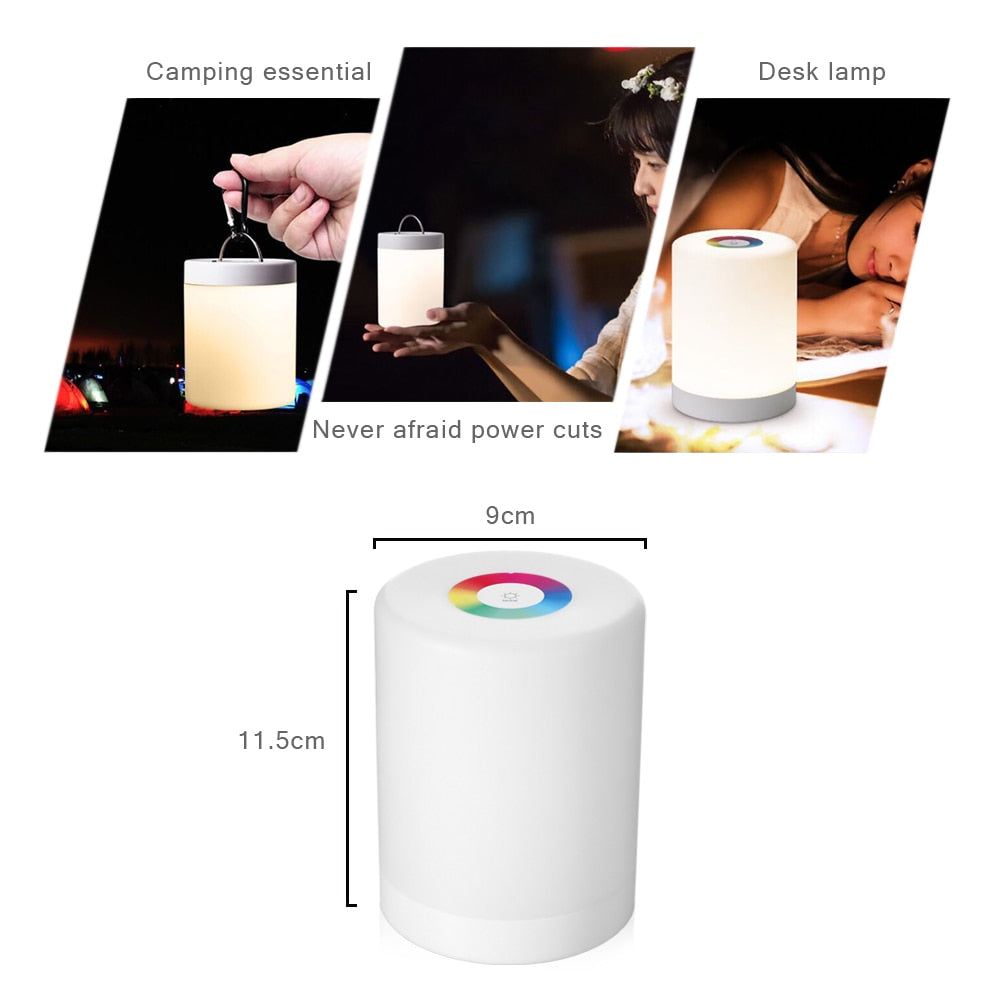 Rechargeable Smart LED Touch Control Night Light Induction
