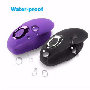 Couple Vibrator USB Waterproof Rechargeable